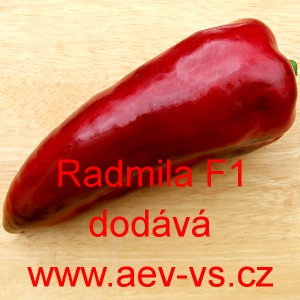 Paprika roční zeleninová hybridní Radmila F1