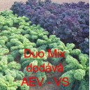 Kapusta kadeřavá kadeřávek Duo Mix