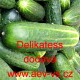Okurka setá salátová Delikatess