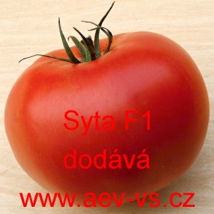 Rajče tyčkové hybridní Syta F1