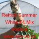 Ředkev setá hybridní Rettich Summer White F1 Mix